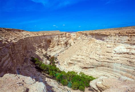 Biblical Israel: Wilderness of Zin - CBN Israel