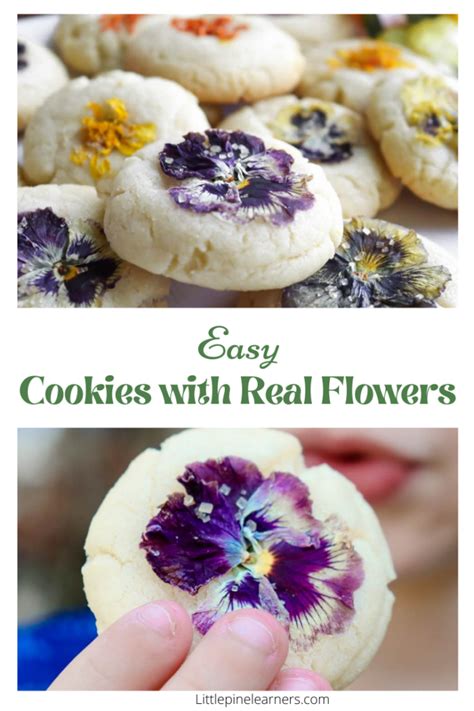 Super Simple Edible Flower Cookies • Little Pine Learners