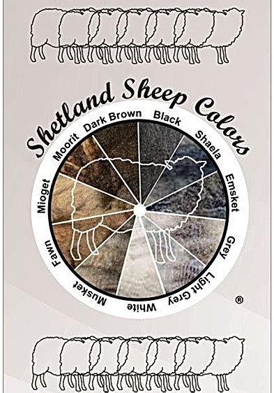 Shetland Sheep Merchandise, Sheep Socks, Sheep Cutouts