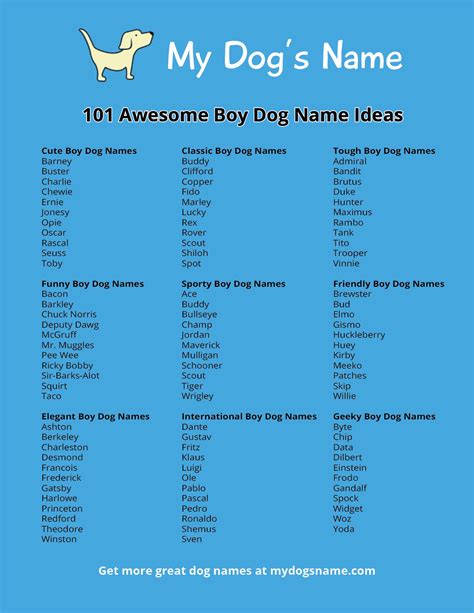 101 Boy Dog Name Ideas - My Dog's Name