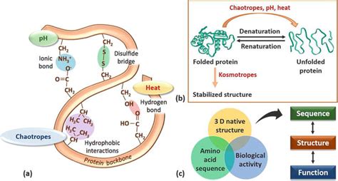 Hydrolases: The Most Diverse Class of Enzymes | IntechOpen