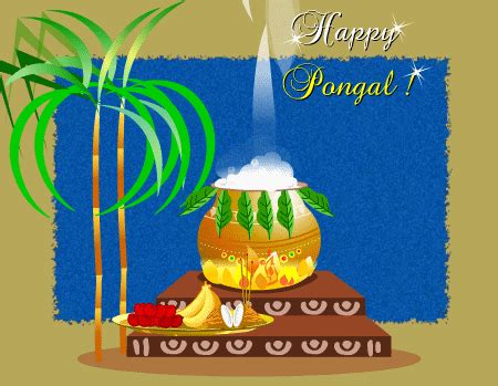 {20+} Pongal GIF Images | Pongal Animated GIF Wishes