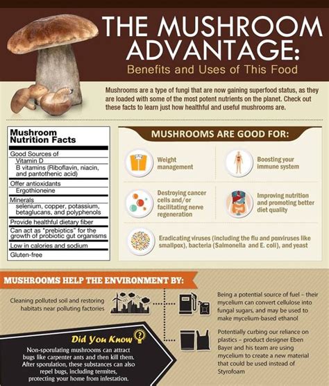 mushrooms are so good for you! | Mushroom benefits, Spinach nutrition ...