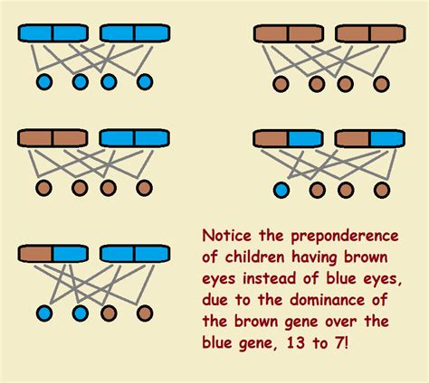 Eye Color and Genetic Inheritance: Dominant -vs.- Recessive