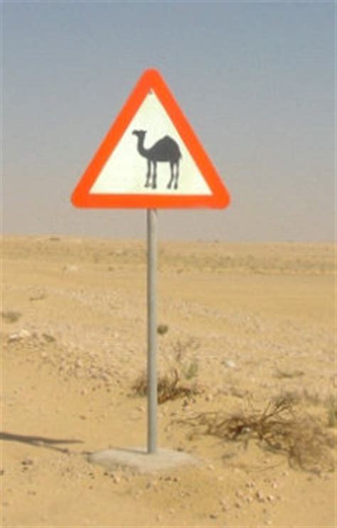 Pictures of Funny Animal Road Signs