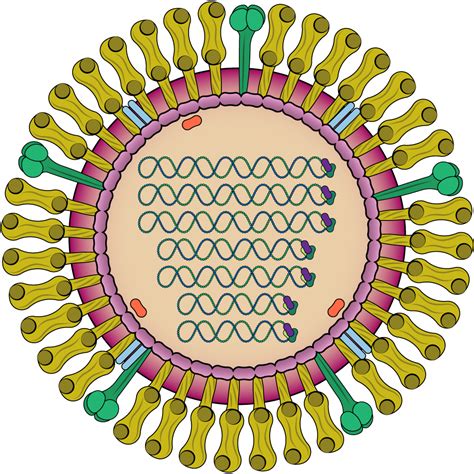 Virology Research Products | LSBio