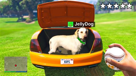 KIDNAPPING YouTuber DOGS In GTA 5 RP! (Jelly, Slogo, Caylus, Jamesify ...