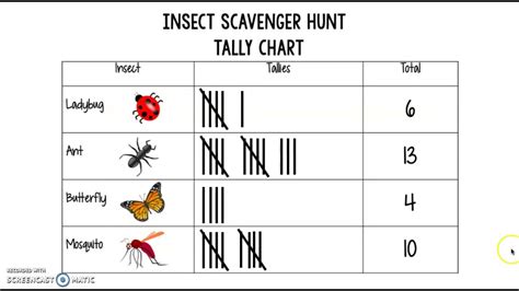 Tally Chart And Bar Graph