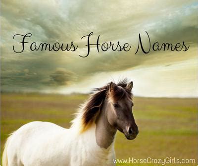 Famous Horse Names