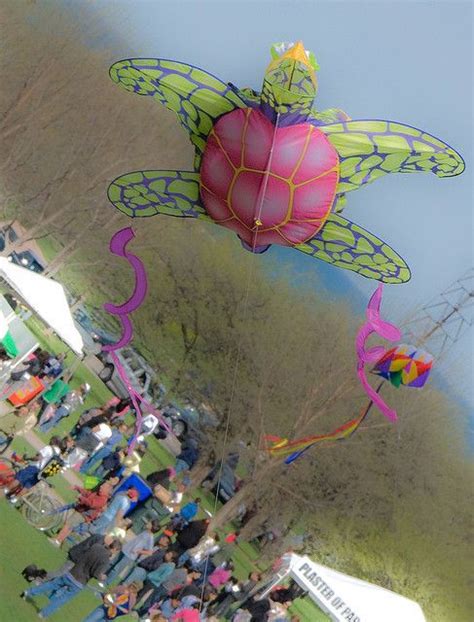 Unusual Kite Shapes - Downright Funny In Some Cases!