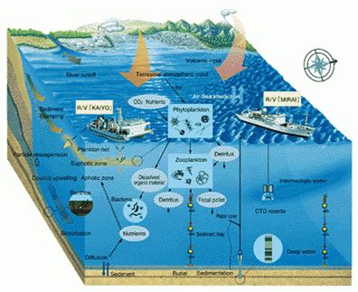 What is Oceanography? – Easy Peasy All-in-One High School