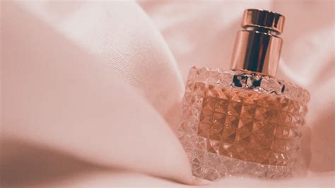 A guide to understanding perfume notes - Dot Com Women