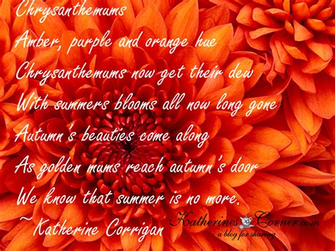 Chrysanthemum Autumns Flower - Katherines Corner