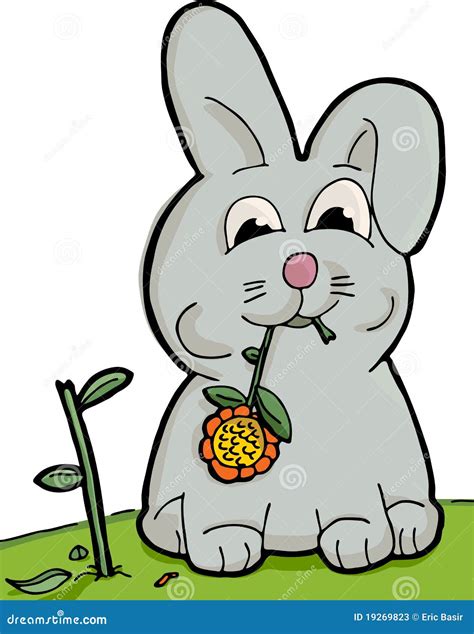 Cute Bunny Eating Stock Photos - Image: 19269823