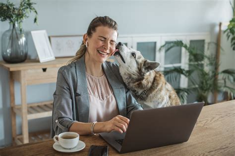 Engaging Your Pets While You Work From Home - GOOD HANDS Blog