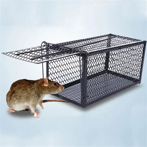 Rat Cage Mice Rodent Animal Control Catch Bait Hamster Mouse Trap ...