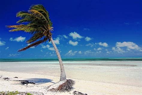 Cayo Coco and Cayo Guillermo - The best beaches in Cuba