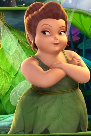 Fairy Mary | Disney Fairies Wiki | Fandom