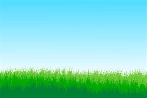 97 Background Green Grass Images - MyWeb