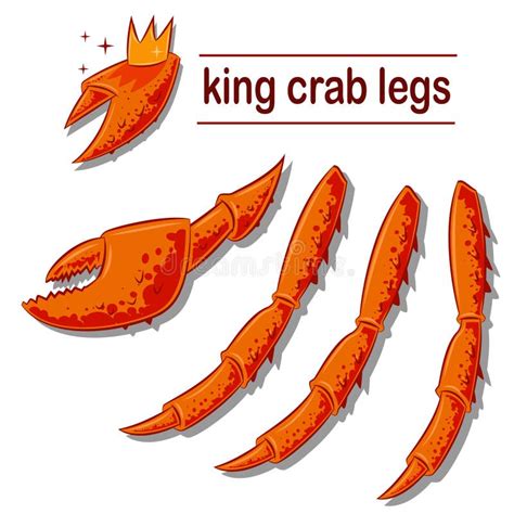 King Crab Legs And Claws Vector Stock Vector - Illustration of food ...