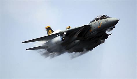 a combat F-14 Tomcat aircraft The American Navy adored them