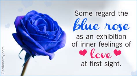 Flower Meanings, Color Meanings, Blue Rose Meaning, Blue Flower Tattoos ...