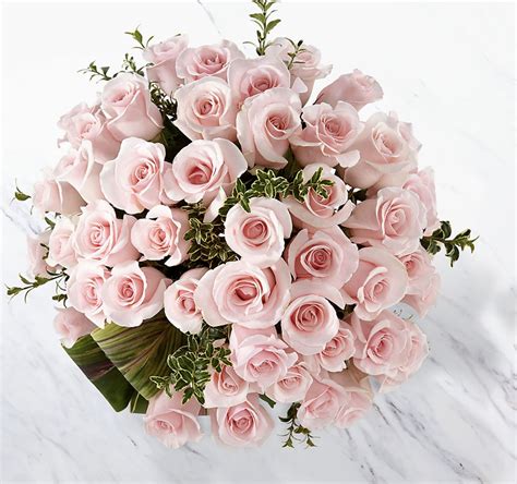 Delighted Luxury Rose Bouquet - 48 Premium Long-Stemmed Roses in ...