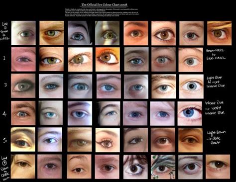 Human Eye coloUr chart by Delpigeon | Eye color chart, Eye color change ...