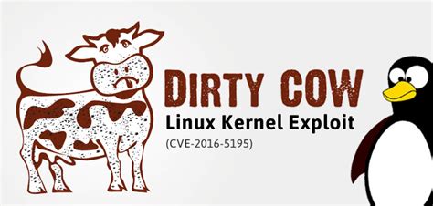 Dirty Cow Linux Kernel Exploit