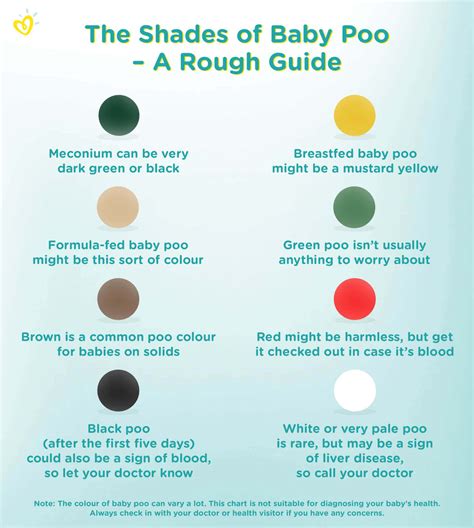 Dark Green Baby Poop Bottle Fed - Best Pictures and Decription ...