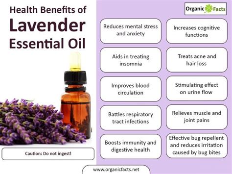 Lavender Essential Oil: Benefits, Uses & Side-Effects | Organic Facts