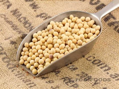 Organic Soya Beans from Real Foods Buy Bulk Wholesale Online