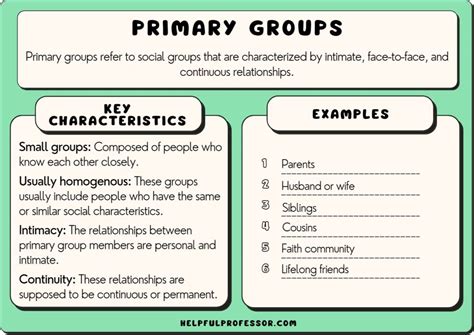 Primary Groups in Sociology (Definition & 10 Examples) (2024)