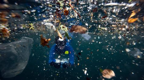 Solving Ocean Plastic Pollution Won't Be Easy, but We Have No Choice ...