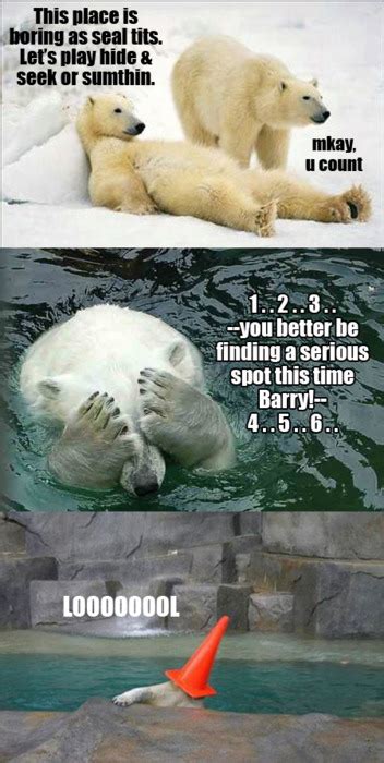 Cute Polar Bear Quotes. QuotesGram