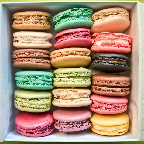 Image Gallery macarons tumblr