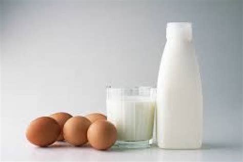 Telur dan Susu, Protein Hewani Terbaik untuk Cegah Stunting | Republika ...