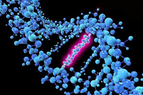 Synonymous vs. Nonsynonymous Mutations - Definitions