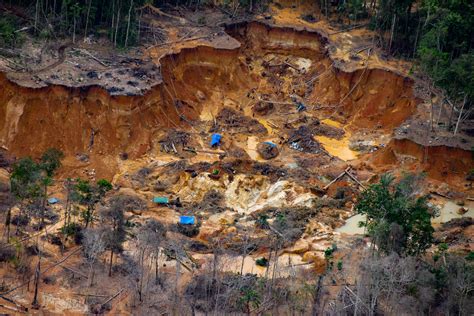 El dilema colonial de Brasil: minería del oro y deforestación en la ...