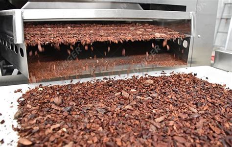 Cocoa Bean Processing Steps in Cocoa Powder Factory