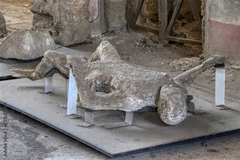 Archaeological Park of Pompeii. Plaster casts of the bodies of men from ...