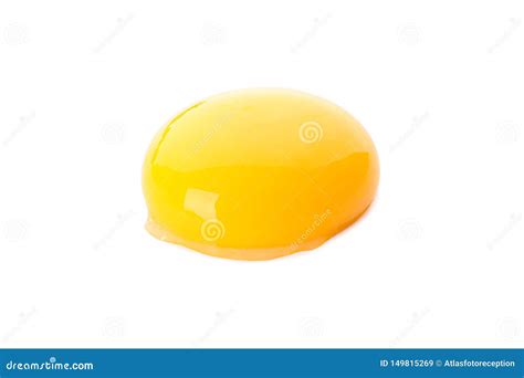 Raw egg yolk isolated stock image. Image of brown, eggs - 149815269