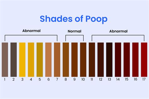 Does Yellow Poop Mean Infection? Understanding Digestive Health