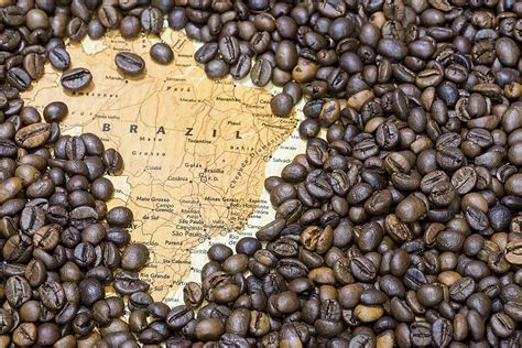 The World's Largest Exporters Of Coffee - WorldAtlas