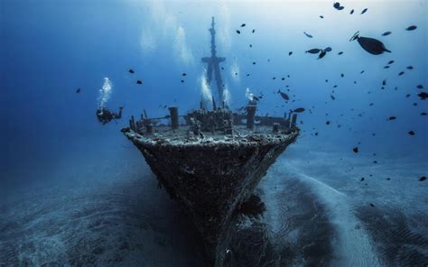 sunken ship - Google Search | Underwater, Underwater photography, Shipwreck