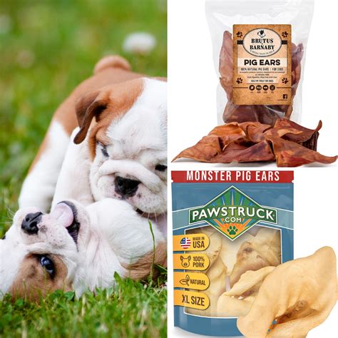 5 Best Pig Ears for Dogs on Amazon