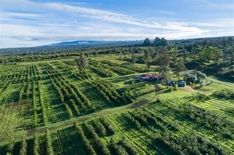 Autumn Wonders: Experiencing a Kona Coffee Farm