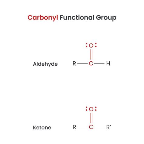 Carbonyl Biochemistry Functional Groups Aldehyde and Ketone vector ...