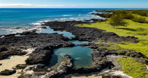 5 Idyllic Tide Pools on the Big Island of Hawaii