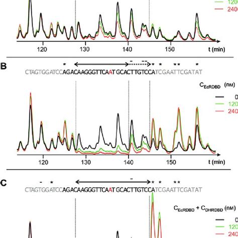 DNase I footprinting assay. The DNase I footprinting pattern generated ...